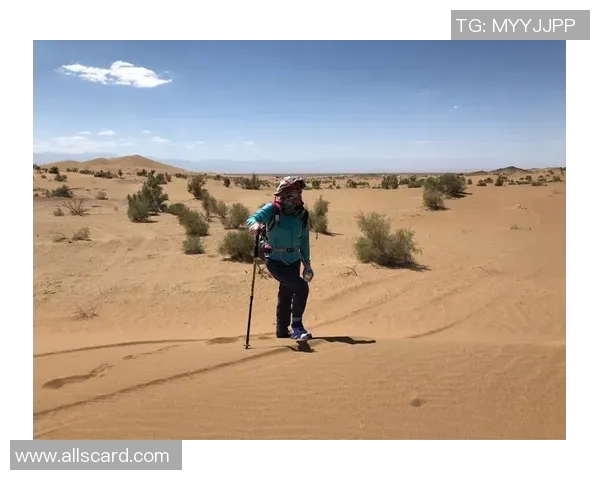 深度对话：探索杨静在王者荣耀中的成长与挑战之旅