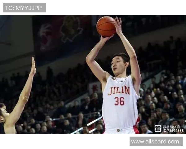 代怀博的成长之路与未来发展潜力探讨